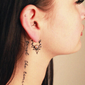 oorringen labradoriet