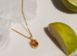 goldplated citrien hanger
