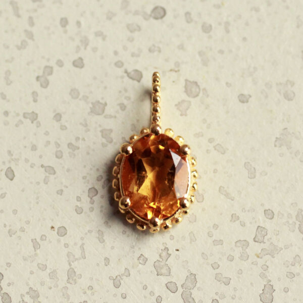 goldplated citrien hanger