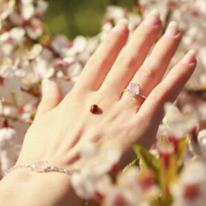 rozenkwarts sieraden