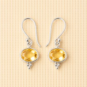 ZILVER CITRIEN OORBELLEN